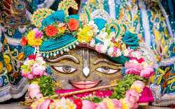 Daily Darshan
