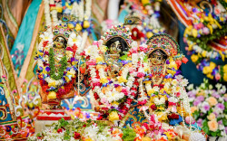 Daily Darshan