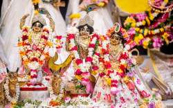 Daily Darshan