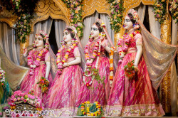 Daily Darshan