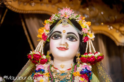 Daily Darshan