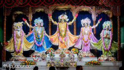 Daily Darshan