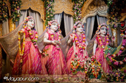 Daily Darshan