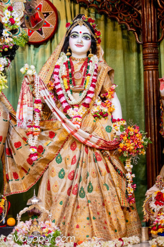 Daily Darshan
