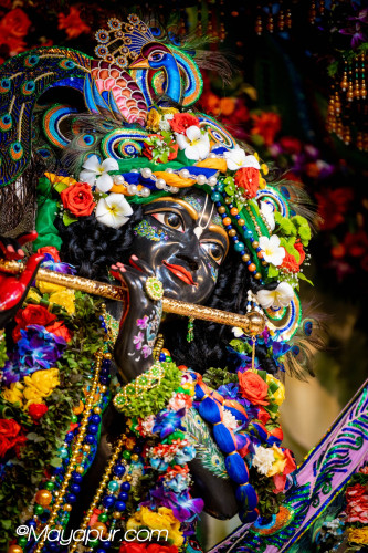 Daily Darshan