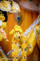 Daily Darshan