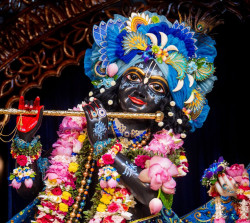 Daily Darshan