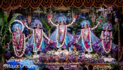 Daily Darshan