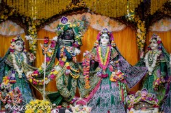 Daily Darshan
