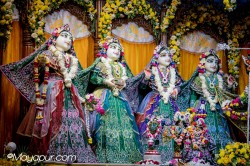 Daily Darshan