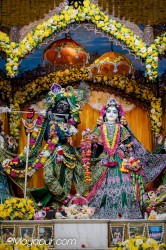Daily Darshan