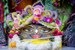Daily Darshan