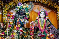 Daily Darshan