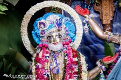 Daily Darshan