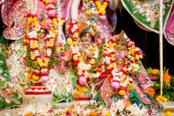Daily Darshan