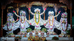 Daily Darshan