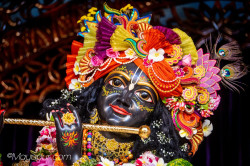 Daily Darshan