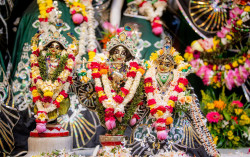 Daily Darshan