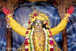 Daily Darshan