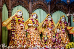 Daily Darshan