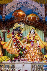 Daily Darshan