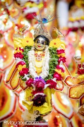 Daily Darshan