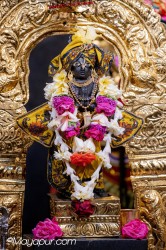 Daily Darshan
