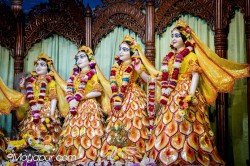 Daily Darshan