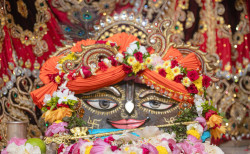 Daily Darshan