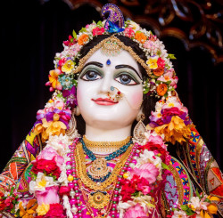Daily Darshan