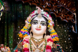 Daily Darshan