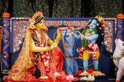 Daily Darshan