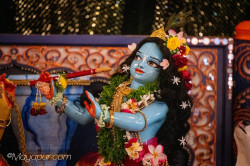 Daily Darshan