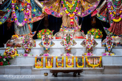 Daily Darshan