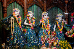 Daily Darshan