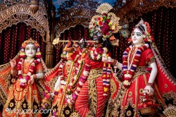 Daily Darshan