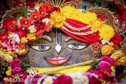 Daily Darshan