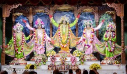 Daily Darshan