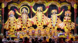 Daily Darshan