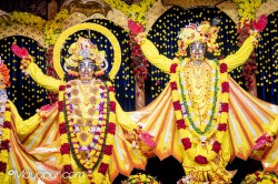 Daily Darshan