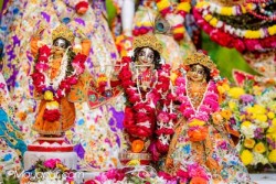 Daily Darshan