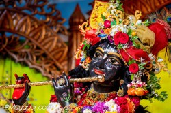 Daily Darshan