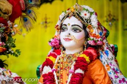 Daily Darshan