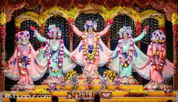 Daily Darshan