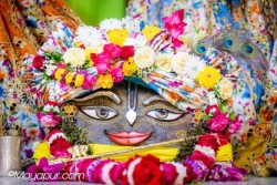 Daily Darshan