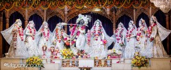 Daily Darshan