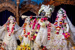 Daily Darshan