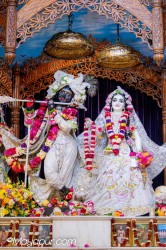 Daily Darshan