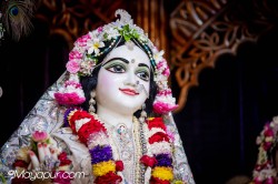 Daily Darshan