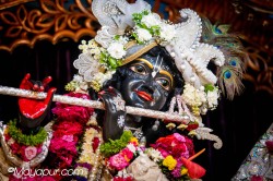 Daily Darshan